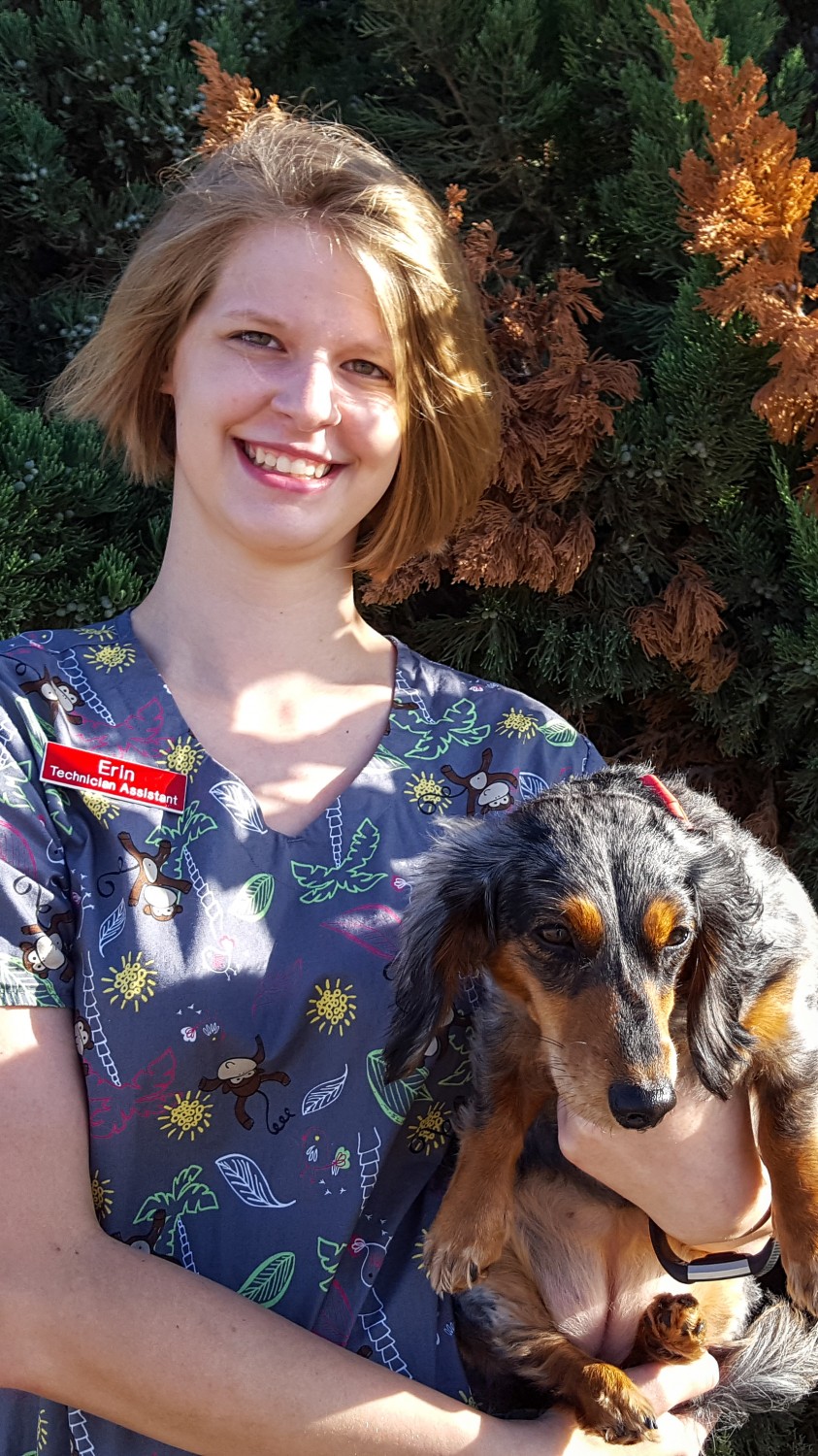 pondervethospital, Ponder, TX 76259 Our Doctors