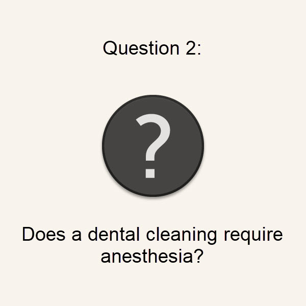 Q2: Does a dental cleaning require anesthesia?