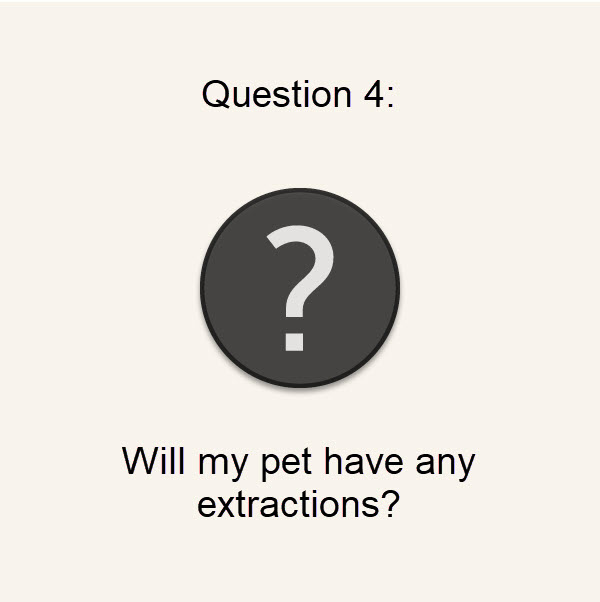 Q4: Will my pet need extractions?