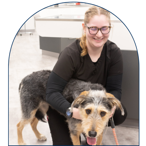 Staff and dog