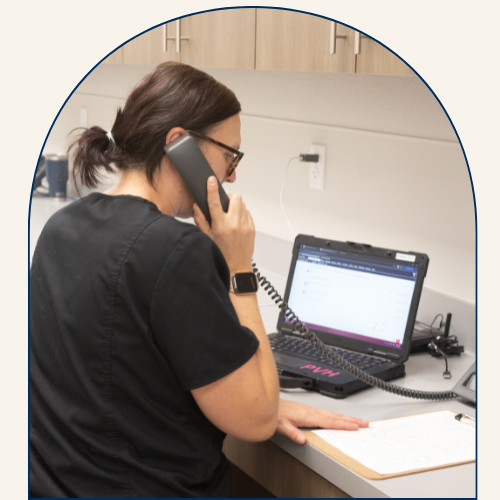 Staff on Phone